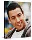 Adam Sandler-null-Stretched Canvas