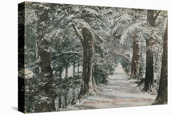 Addison's Walk, Magdalen College, Oxford. Postcard Sent in 1913-English Photographer-Premier Image Canvas