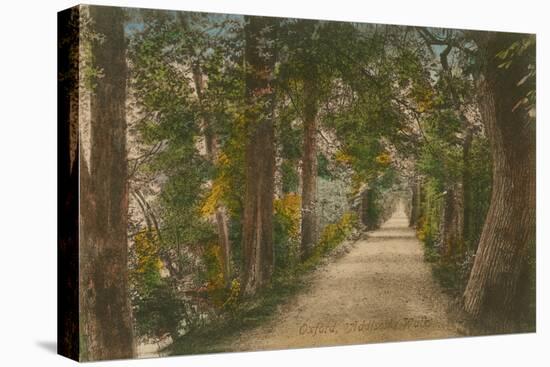 Addison's Walk, Oxford. Postcard Sent in 1913-English Photographer-Premier Image Canvas