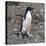Adelie Penguin in Frei Station South Shetland Islands, Antarctica-William Perry-Premier Image Canvas