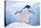 Adelie Penguin with Wings Outstretched-DLILLC-Premier Image Canvas
