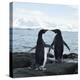 Adelie Penguin-Joe McDonald-Premier Image Canvas