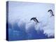 Adelie Penguins Dive from an Iceberg, Antarctica-Hugh Rose-Premier Image Canvas