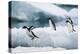 Adelie Penguins Diving off Ice-Joe McDonald-Premier Image Canvas