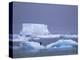 Adelie Penguins on Iceberg, Paulet Island, Antarctica, Polar Regions-David Tipling-Premier Image Canvas