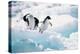 Adelie Penguins (Pygoscelis Adeliae) Antarctica-Ann Manner-Premier Image Canvas