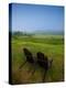 Adirondack Chairs on Lawn at Martha's Vineyard with Fog over Trees in the Distant View-James Shive-Premier Image Canvas