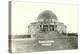 Adler Planetarium under Construction-null-Stretched Canvas