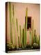 Adobe Cactus, 2015-null-Premier Image Canvas