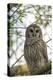 Adult Barred Owl, Strix Varia, in an Oak Tree Hammock, Florida-Maresa Pryor-Premier Image Canvas