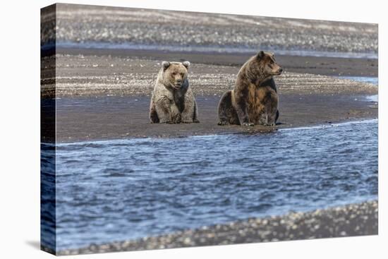 Adult female grizzly bear and cub fishing, Lake Clark National Park and Preserve, Alaska-Adam Jones-Premier Image Canvas