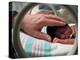 Adult Hand Touching Tiny Head of Baby, Born Addicted to Crack Cocaine, in Hospital Incubator-Ted Thai-Premier Image Canvas