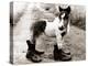 Adult Horse with Giant Boots-null-Premier Image Canvas