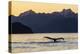 Adult humpback whale, flukes-up dive at sunset in Glacier Bay National Park-Michael Nolan-Premier Image Canvas