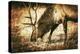 Adult North American Elk-duallogic-Premier Image Canvas