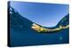 Adult olive-headed sea snake (Hydrophis major), swimming on Ningaloo Reef, Western Australia-Michael Nolan-Premier Image Canvas