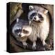 Adult Raccoon at His Nest-null-Stretched Canvas
