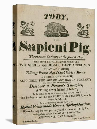 Advert for Toby the Sapient Pig, the Greatest Curiosity of the Present Day-null-Premier Image Canvas