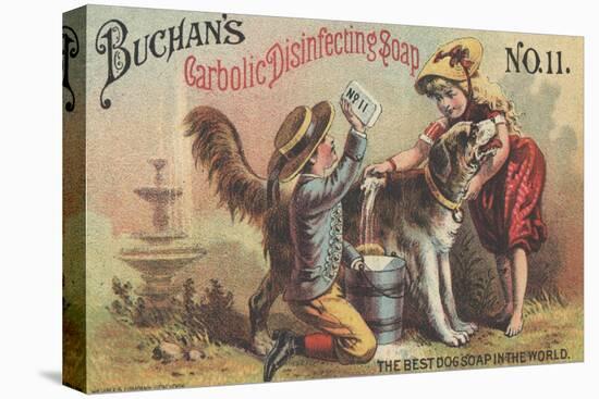 Advertisement for Buchan's Carbolic Disinfecting Soap No. 11, C.1880-American School-Premier Image Canvas