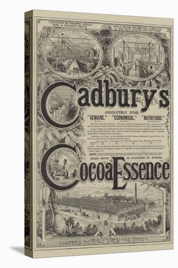 Advertisement for Cadbury's Cocoa Essence-null-Premier Image Canvas