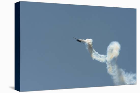 Aerial Acrobatics with Curling Smoke-Sheila Haddad-Premier Image Canvas