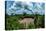 Aerial of a shabono (yanos), the traditional communal dwellings of the Yanomami tribes-Michael Runkel-Premier Image Canvas