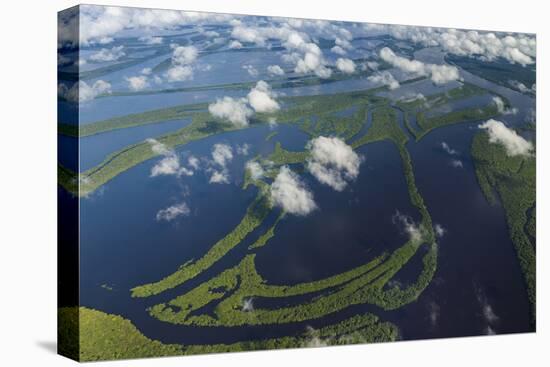 Aerial of Amazon River Basin, Manaus, Brazil-Art Wolfe-Premier Image Canvas