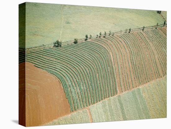 Aerial of Cultivated Farmland in Brazil-Dmitri Kessel-Premier Image Canvas