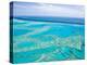 Aerial of the Great Barrier Reef, Whitsunday Coast, Queensland, Australia-Walter Bibikow-Premier Image Canvas