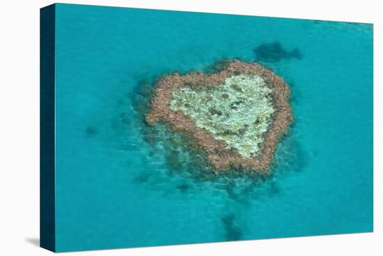 Aerial of the Whit Sunday Islands, Queensland, Australia, Pacific-Michael Runkel-Premier Image Canvas