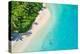 Aerial Photo of Beautiful Paradise Maldives - Tropical Beach on Island-Jag_cz-Premier Image Canvas