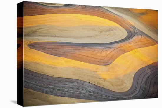 Aerial Photo of Freshly Harvested Wheat Fields on the Palouse in Eastern Washington in Late Summer-Ben Herndon-Premier Image Canvas