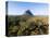 Aerial photograph of Mt Beerwah & Mt Coonowrin, Glasshouse Mountains, Australia-Mark A Johnson-Premier Image Canvas