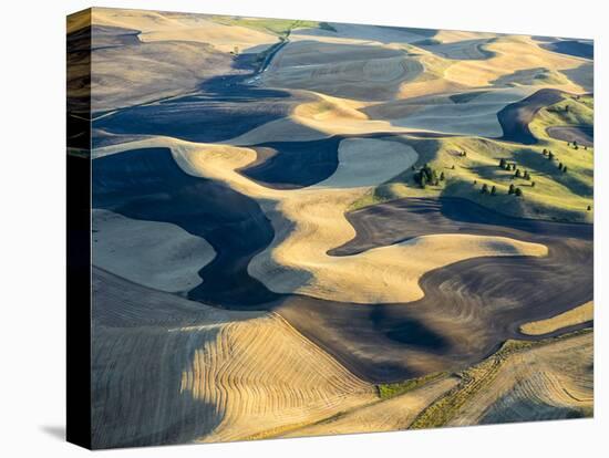 Aerial Photography at Harvest Time in the Palouse Region of Eastern Washington-Julie Eggers-Premier Image Canvas