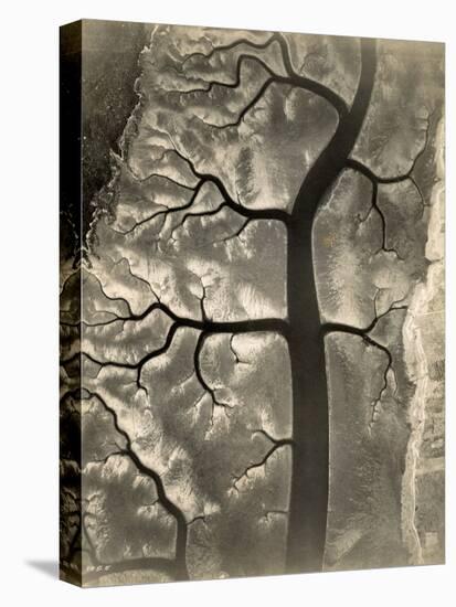 Aerial View of a Mud Flat at Low Tide, Canada, 15th April 1944-null-Premier Image Canvas