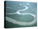 Aerial View of Amazon River and Jungle, Brazil-null-Premier Image Canvas