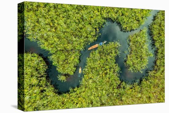Aerial view of boat crossing through the deep jungle, Yanomami tribe, southern Venezuela-Michael Runkel-Premier Image Canvas
