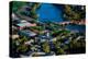AERIAL VIEW of Cambridge and Anderson Memorial Bridge leading to Weld Boathouse, Harvard on Char...-null-Premier Image Canvas