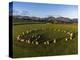 Aerial view of Castlerigg Stone Circle and Catbells, Lake District National Park-Ian Egner-Premier Image Canvas