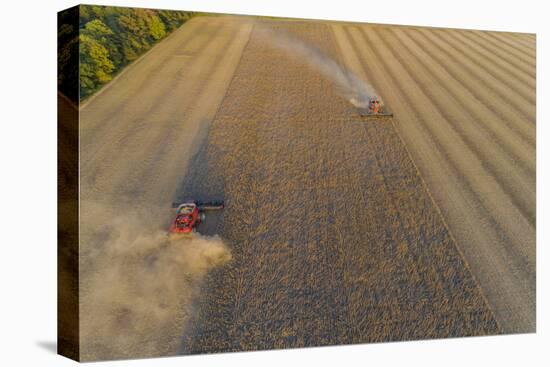 Aerial view of combine-harvesters harvesting in field, Marion Co,. Illinois, USA-Panoramic Images-Premier Image Canvas