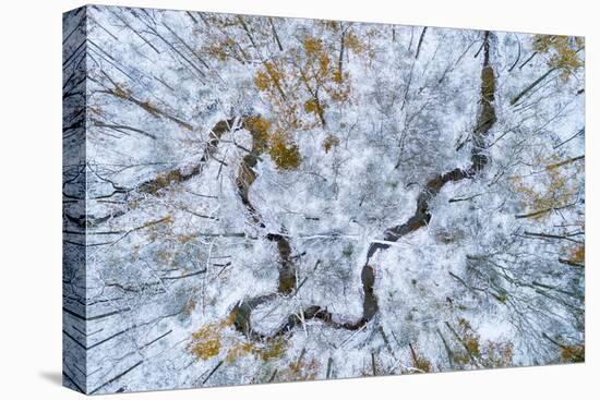 Aerial view of forest in winter, Marion Co., Illinois, USA-Panoramic Images-Premier Image Canvas