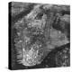 Aerial View of Greater New York, Showing Manhattan Island-null-Premier Image Canvas