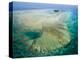 Aerial View of Green Island, The Great Barrier Reef, Cairns Area, North Coast, Queensland-Walter Bibikow-Premier Image Canvas