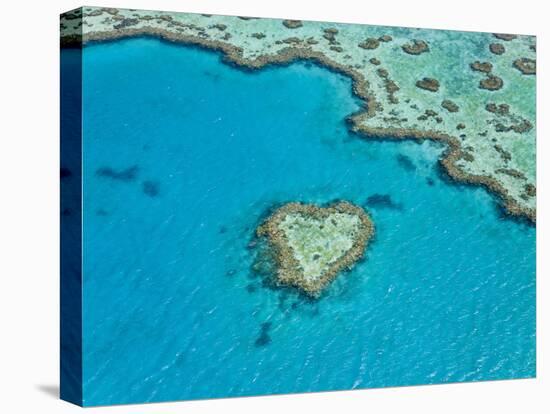 Aerial View of Heart Reef, Part of Great Barrier Reef, Queensland, Australia-Peter Adams-Premier Image Canvas