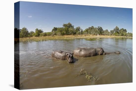 Aerial View of Hippo Pond, Moremi Game Reserve, Botswana-Paul Souders-Premier Image Canvas