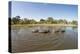 Aerial View of Hippo Pond, Moremi Game Reserve, Botswana-Paul Souders-Premier Image Canvas