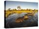 Aerial View of Hippopotamus at Sunset, Moremi Game Reserve, Botswana-Paul Souders-Premier Image Canvas