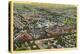 Aerial View of Kodak Park, Rochester, New York-null-Stretched Canvas