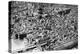 Aerial View of London, Showing St Paul's Cathedral, 1926-null-Premier Image Canvas