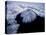 Aerial View of Mt. Fuji-null-Premier Image Canvas